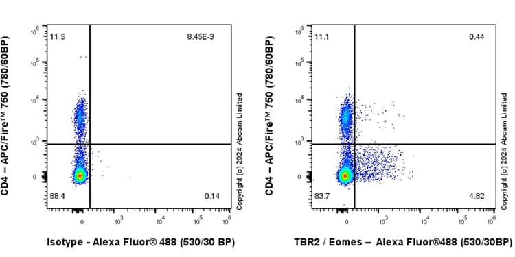 Anti-TBR2 / Eomes antibody [RM2055](AB319166)