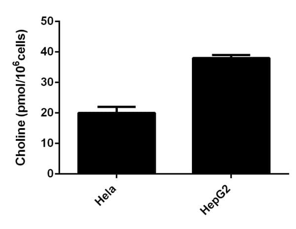 Choline/Acetylcholine Assay Kit(AB65345)