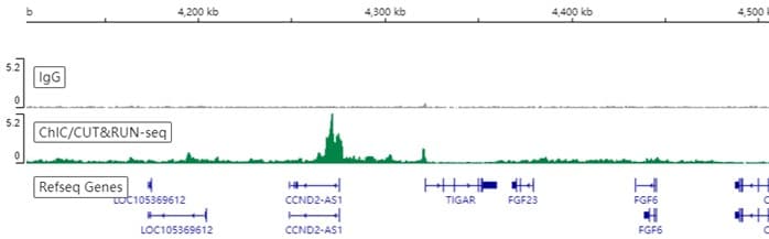Anti-SUZ12 antibody [EPR5234(N)] - ChIP Grade(AB175187)