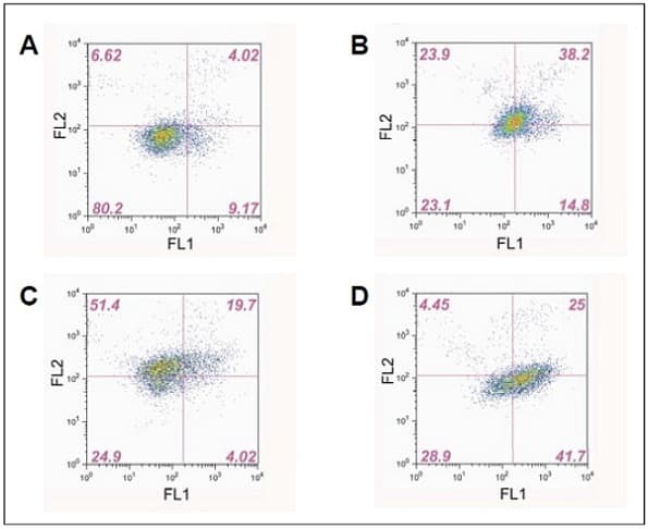 ROS/Superoxide Detection Assay Kit (Cell-based)(AB139476)