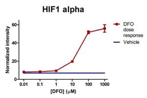 Human Hif1a + BNIP3 Hypoxia In Cell ELISA Kit (IR)(AB129733)