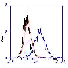 Anti-HIF-1 alpha antibody [H1alpha67](AB1)