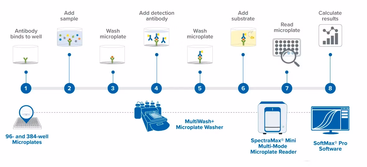 Microplate Reader And Washer Bundle