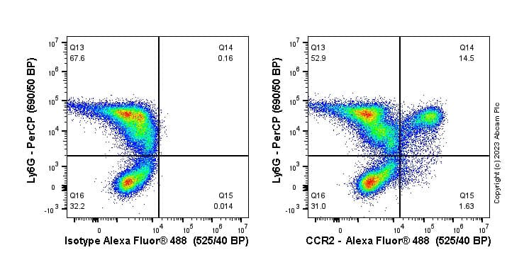 Anti-CCR2 antibody [EPR20844-15](AB273050)
