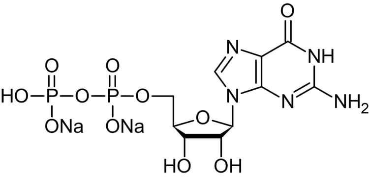 Guanosine 5'-diphosphate [GDP] disodium salt, Nucleoside diphosphate(AB146529)