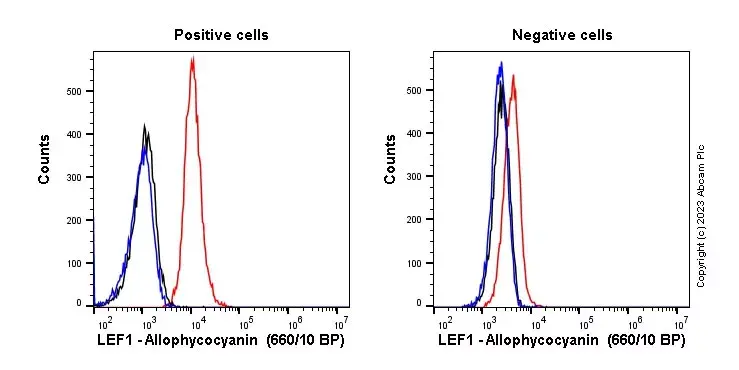 APC Rabbit IgG, monoclonal [EPR25A] - Isotype Control(AB232814)