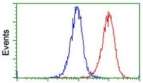 Anti-PADI4 / PAD4 antibody [OTI4H5](AB128086)