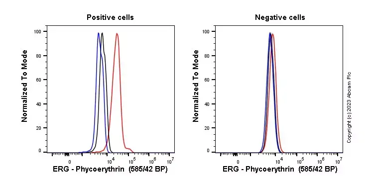 PE Rabbit IgG, monoclonal [EPR25A] - Isotype Control(AB209478)