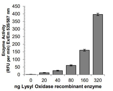 Lysyl Oxidase Activity Assay Kit (Fluorometric)(AB284573)