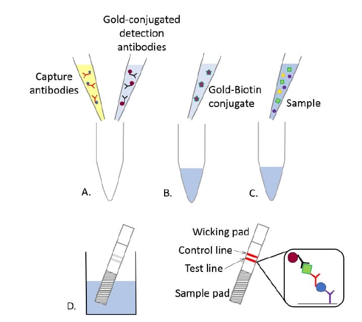 Universal Lateral Flow Assay Kit(AB270537)