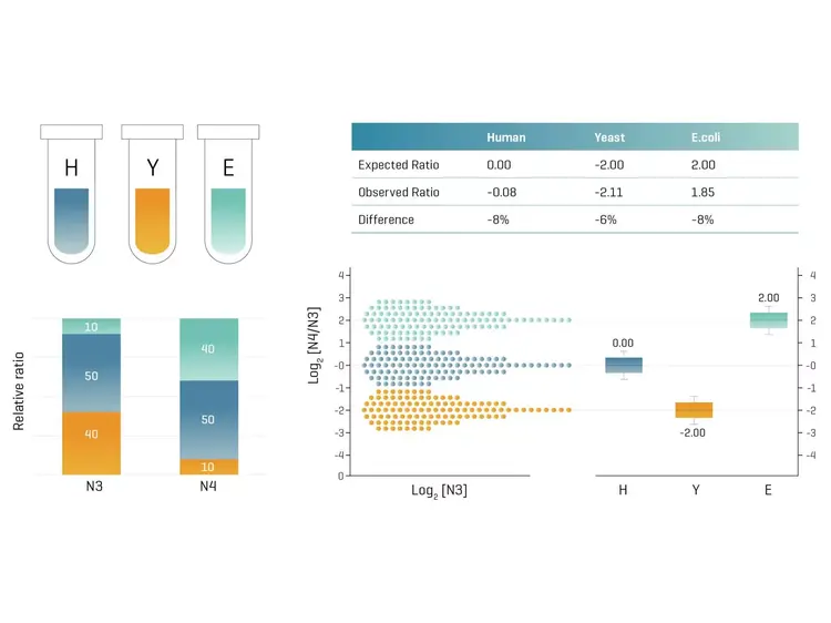 Protein Identification