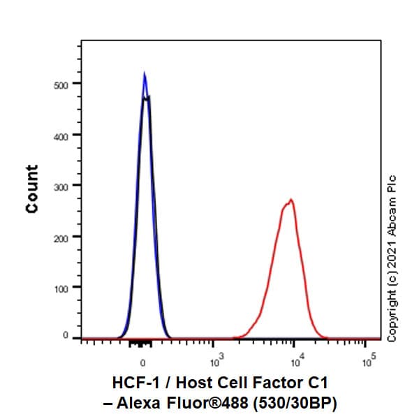 Anti-HCF-1 / Host Cell Factor C1 antibody [EPR25290-18](AB289975)