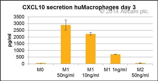 Human IP-10 ELISA Kit(AB173194)