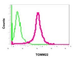 Anti-TOMM22/TOM22 antibody [EPR13505] - BSA and Azide free(AB250125)