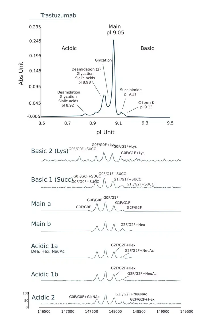 Identify Proteoforms That Could Impact Product Quality