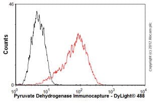 Anti-Pyruvate Dehydrogenase E2 antibody [15D3G9C11](AB110332)