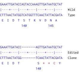 Human Rb1 Knockout Hct116 Cell Line Ab286657  Next Generation Sequencing Img420777