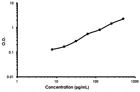 Human IL-12 p70 ELISA Kit(AB213791)