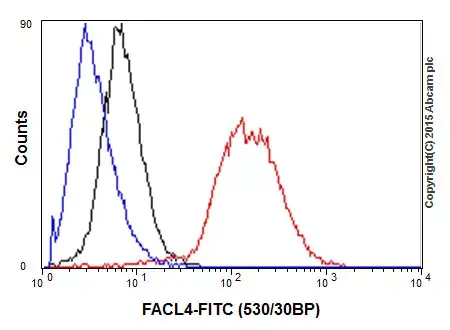 Anti-FACL4 antibody [EPR8640](AB155282)