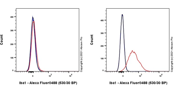 Anti-Iba1 antibody [EPR16589] - Rat IgG2a (Chimeric)(AB283346)