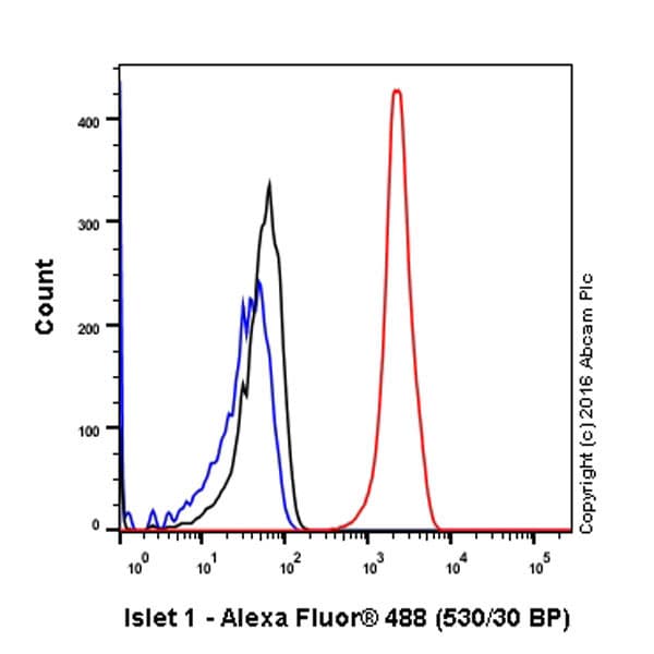 Anti-Islet 1 antibody [EP4182] - Neural Stem Cell Marker(AB109517)