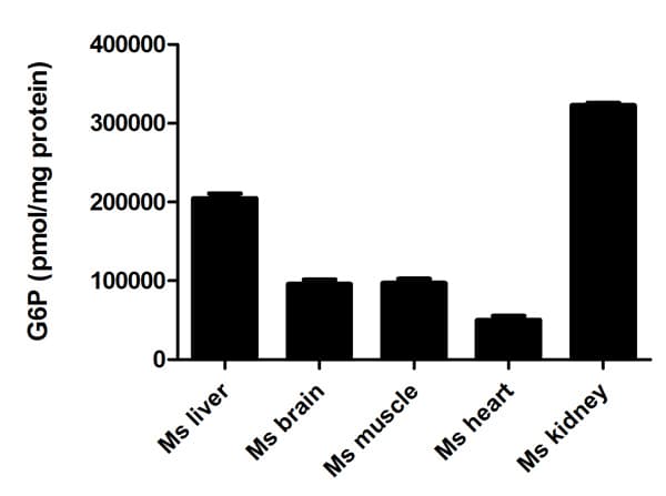 Glucose-6-Phosphate Assay Kit - High Sensitivity (Fluorometric)(AB107923)