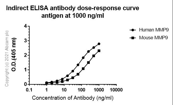 Anti-MMP9 antibody [RM1020](AB283575)