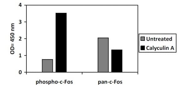 Phospho-c-Fos (T232) and Total c-Fos ELISA Kit(AB279758)