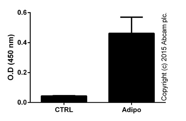 PPAR gamma Transcription Factor Assay Kit(AB133101)