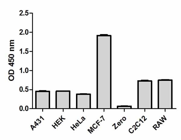 AKT1 + AKT2 + AKT3 (pS473) ELISA Kit(AB176635)