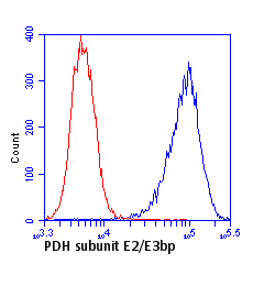 Anti-Pyruvate dehydrogenase E2/E3bp antibody [13G2AE2BH5](AB110333)