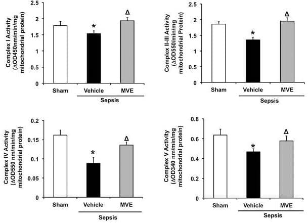 Complex I Enzyme Activity Microplate Assay Kit (Colorimetric)(AB109721)