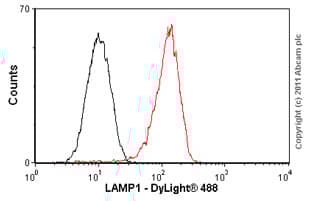Anti-LAMP1 antibody [H4A3](ab25630)