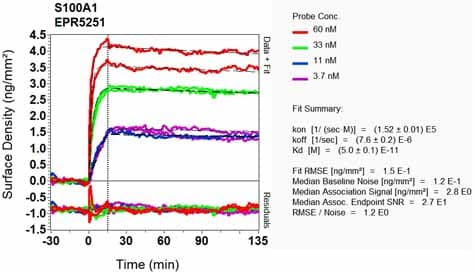 Anti-S100 alpha antibody [EPR5251](AB109384)