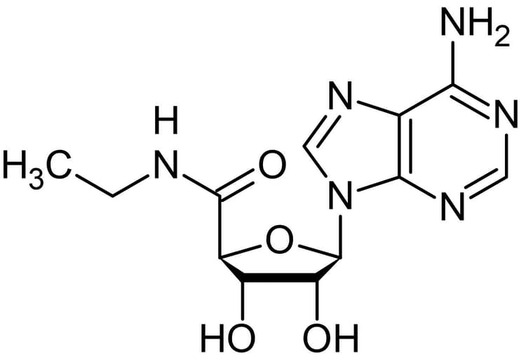 NECA, adenosine agonist(AB120440)