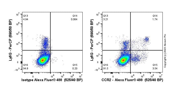 Anti-CCR2 antibody [EPR20844-15](AB273050)