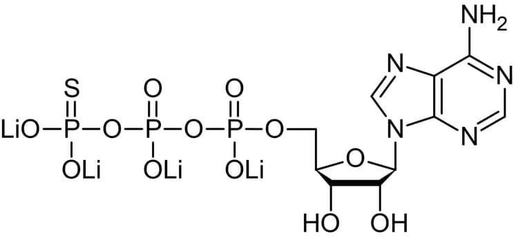 ATP-gamma-S, Kinase substrate(AB138911)