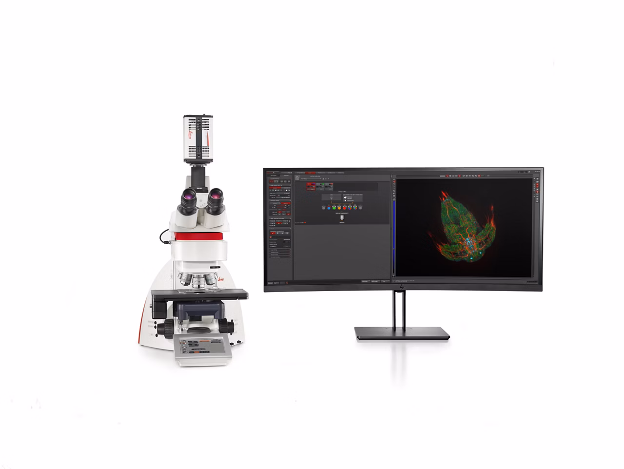 Leica Microsystems Thunder Imager Tissue Image2