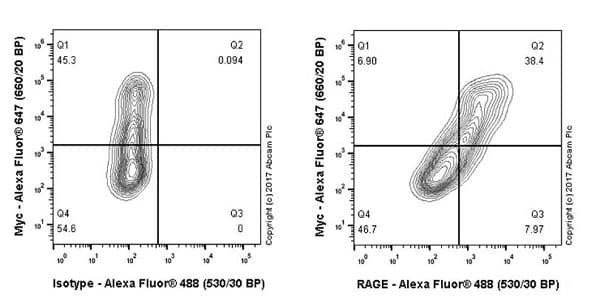 Anti-RAGE antibody [EPR21171](AB216329)