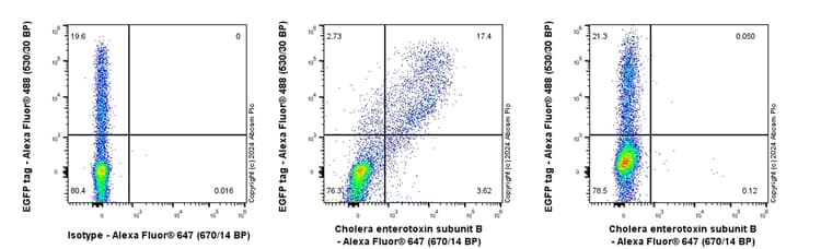 Cholera Enterotoxin Subunit B Antibody Epr27372 4 Ab317738  Flow Cytometry Intracellular Img432148