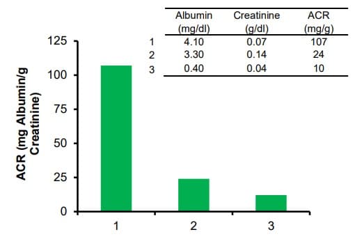 Albumin Creatinine Ratio Assay Kit(ab241018)