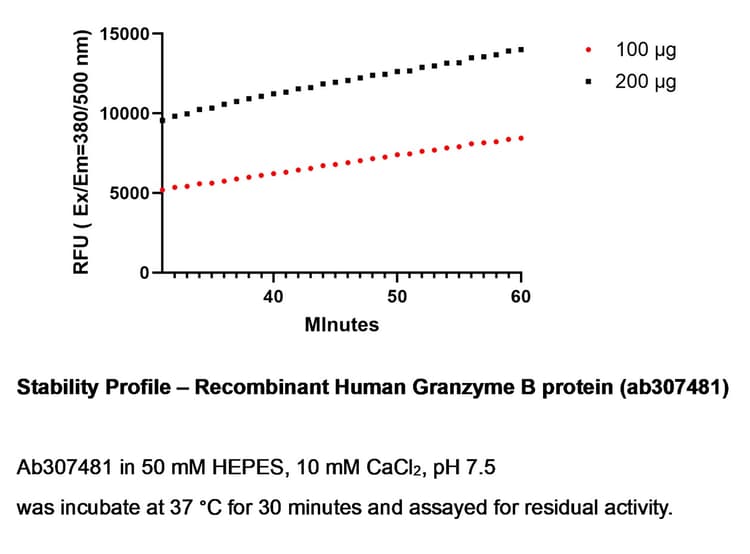 Recombinant Human Granzyme B Protein (His tag)(AB307481)