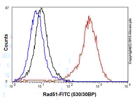 Anti-Rad51 antibody [EPR4030(3)](AB133534)