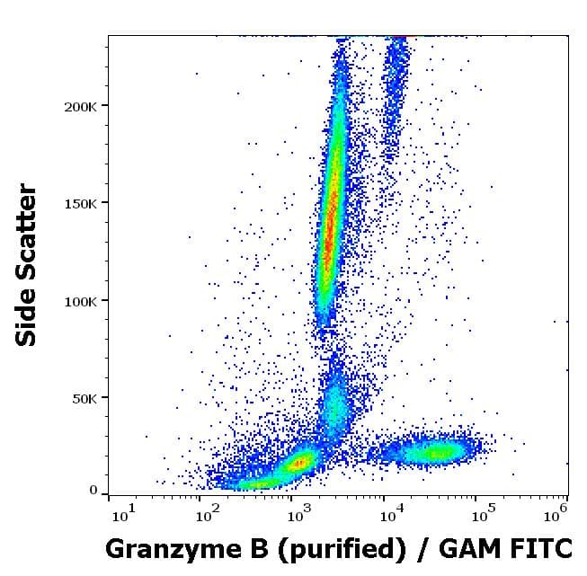 Anti-Granzyme B antibody [CLB-GB11](AB103159)