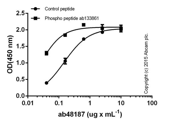 Anti-IRE1 (phospho S724) antibody(AB48187)