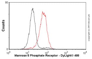 Anti-M6PR (cation independent) antibody [2G11](AB2733)