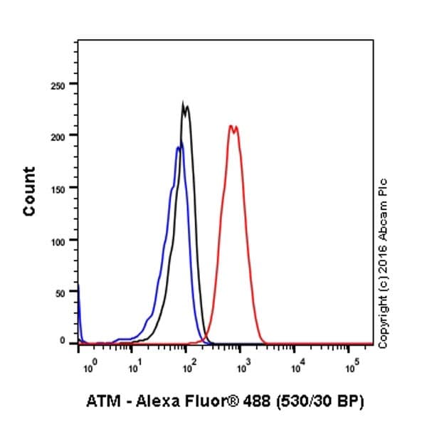 Anti-ATM antibody [EPR20100] - ChIP Grade(AB201022)
