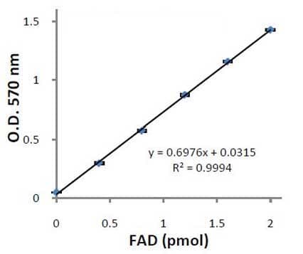Flavin Adenine Dinucleotide (FAD) Assay Kit(AB204710)