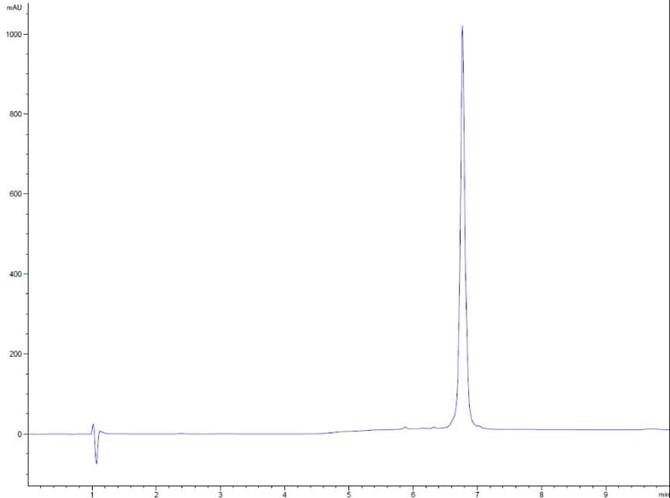 Recombinant mouse SCF protein (Active)(AB259390)