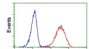 Anti-ITM2B antibody [OTI1C11](AB119044)